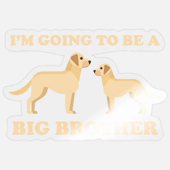 im a big brother dog shirt